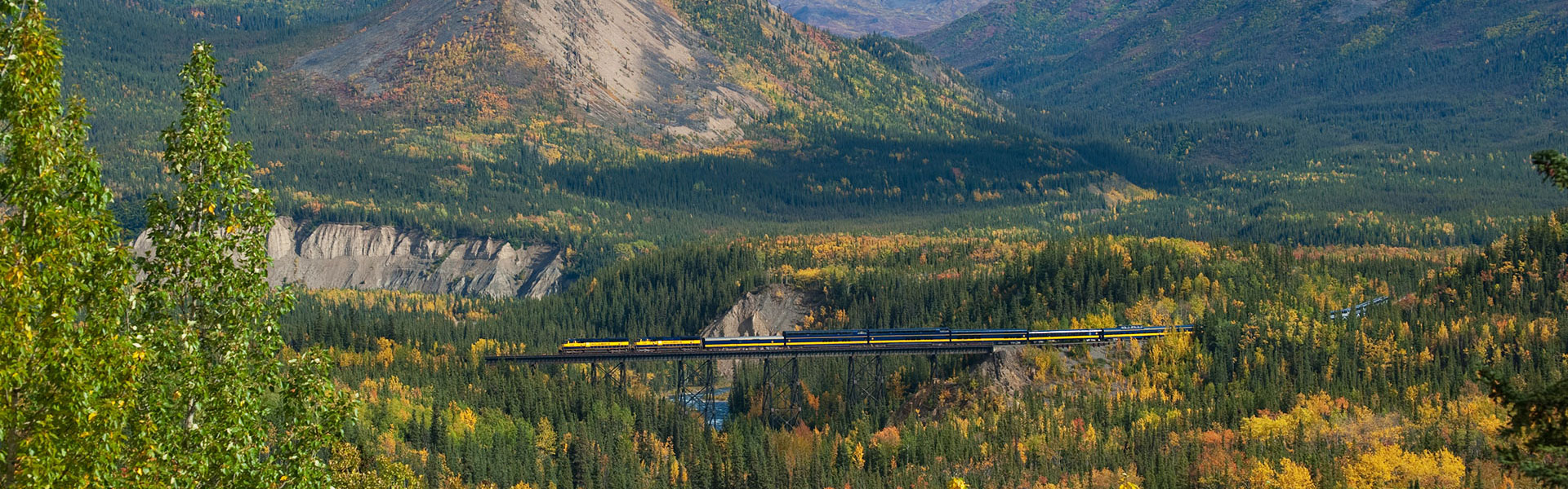 Alaska Train Trips | Best Alaska Train Tours