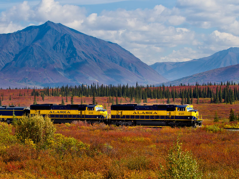 Alaska Land Tour with Arctic Circle Tour | Alaska Railroad