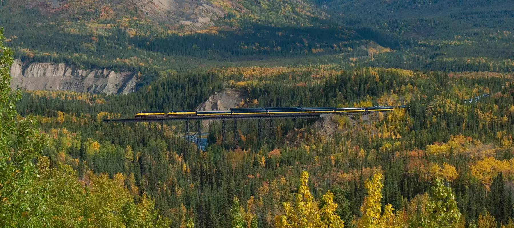 Alaska Train Trip & Luxury Alaska Train Tours & Vacations