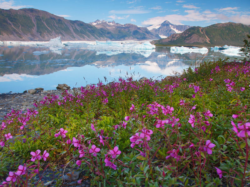 Alaska Train Tour Best of Glaciers & Denali | Kenai Fjord
