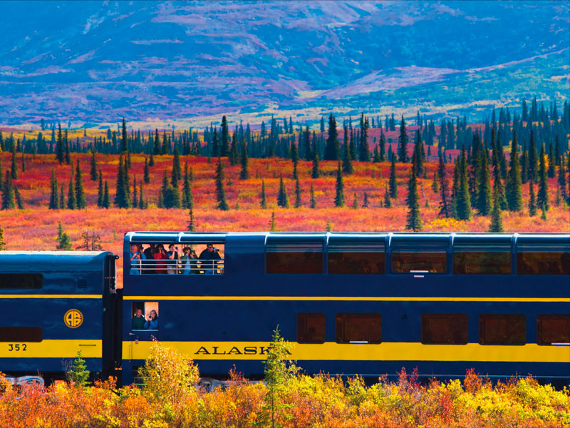 Alaska Train Vacation with the Arctic Cruise Connector | Alaska Railroad