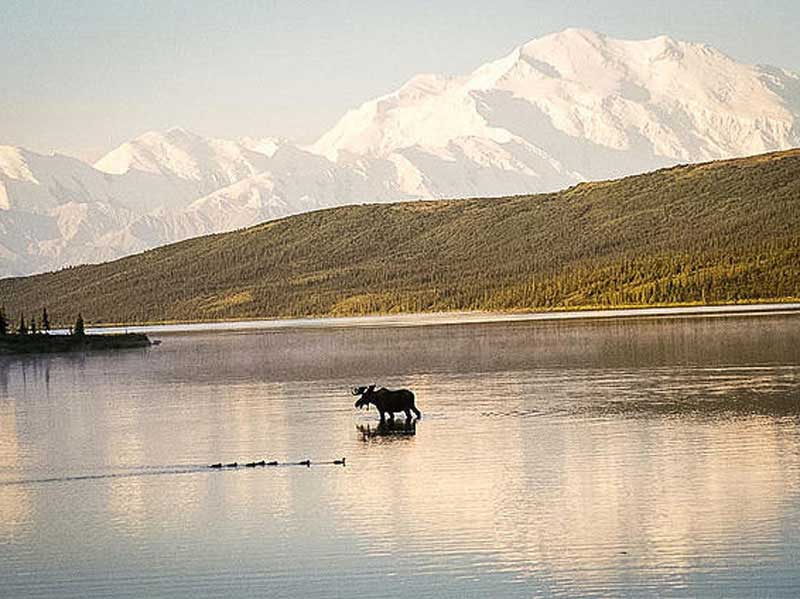Alaska Train Trip | Wilderness Lodges, Glaciers & Denali | Denali National Park