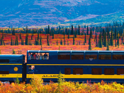 Denali Kenai Alaska Train Explorer Tour