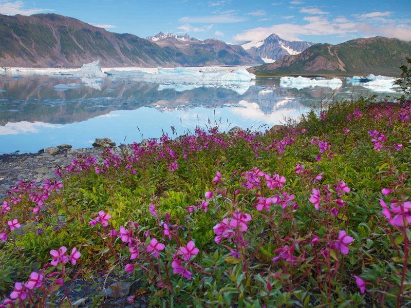 Alaska Train Vacations | Kenai Fjords National Park